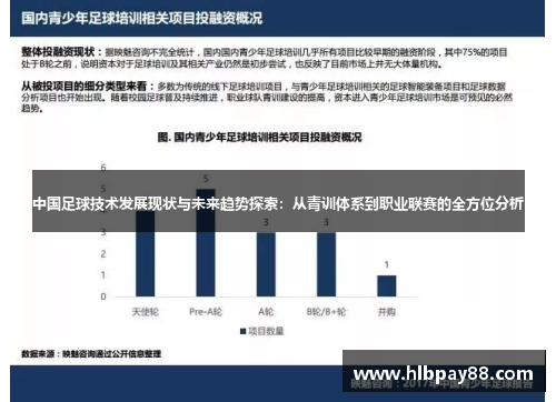 中国足球技术发展现状与未来趋势探索：从青训体系到职业联赛的全方位分析