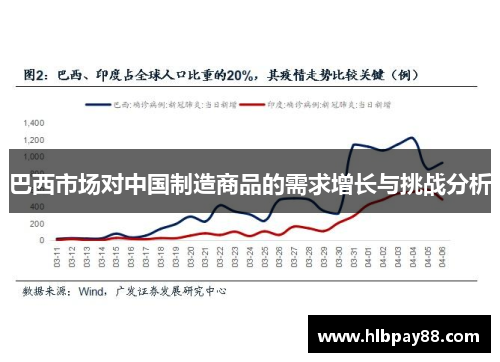 巴西市场对中国制造商品的需求增长与挑战分析